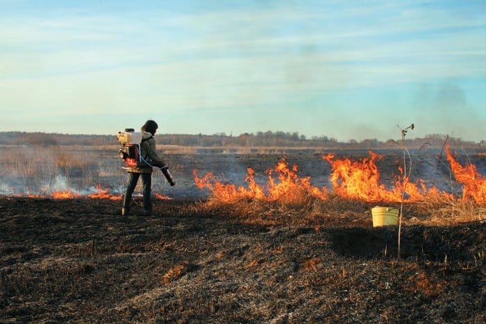 Тушение пожара в подмосковном заказнике «Журавлиная родина», 2010 г. Фото с сайта www.miloserdie.ru