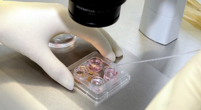 Британским генетикам разрешили экспериментировать с эмбрионами человека