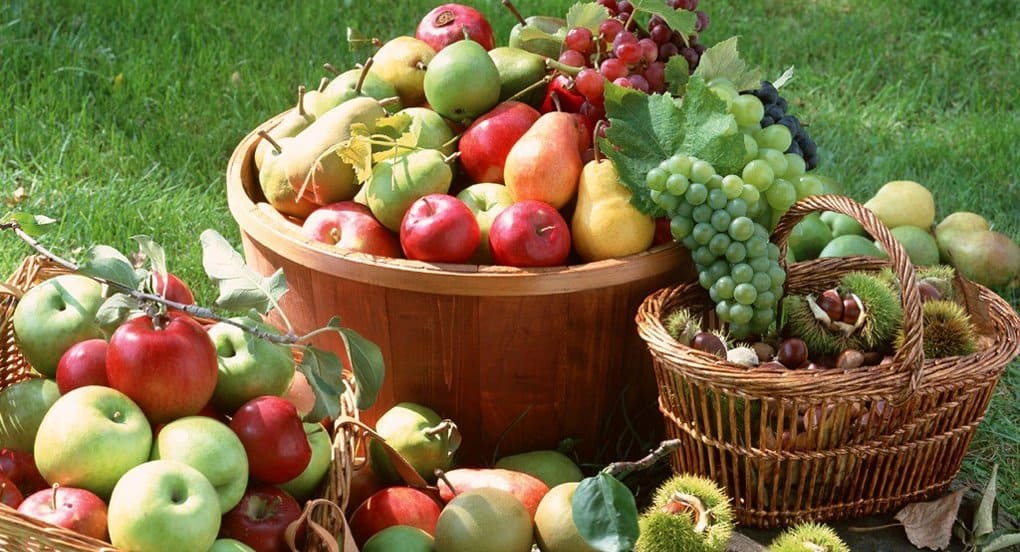 Для пациентов столичных хосписов собирают фрукты и овощи