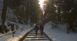 когда начинается рождественский пост