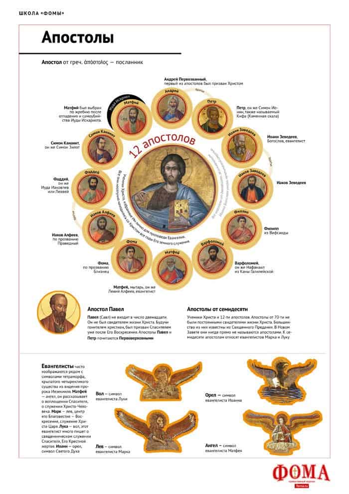 Апостолы. Инфографика