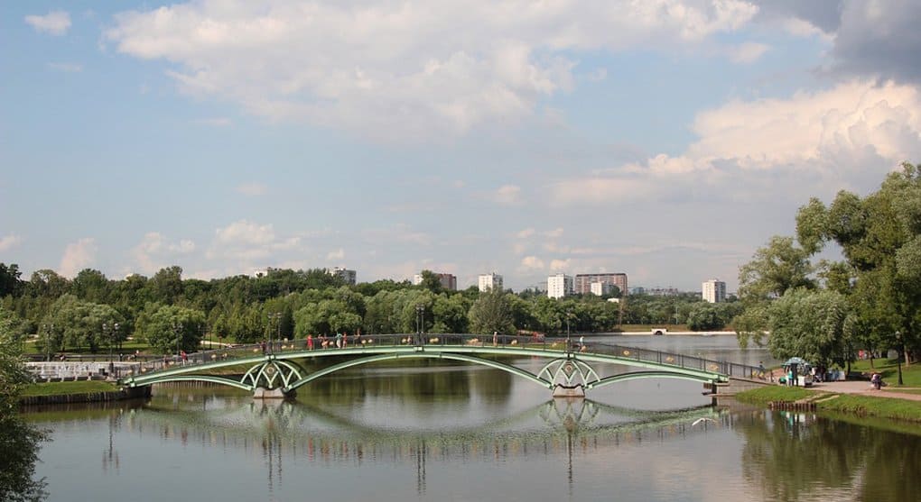 Вокруг крупных городов России создадут «зеленые щиты»
