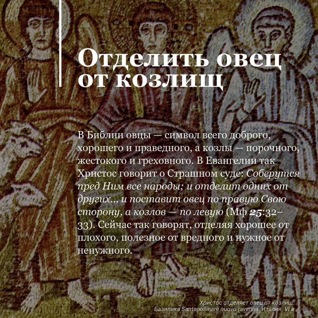 Библейское предписание 8. Страшный суд цитаты. Отделить овец от козлищ Библия. Отделить овец от козлищ Евангелие. Отделить овец от козлищ.