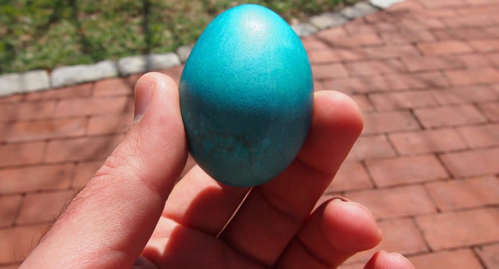 Правильно ли оставлять яйцо на могиле?