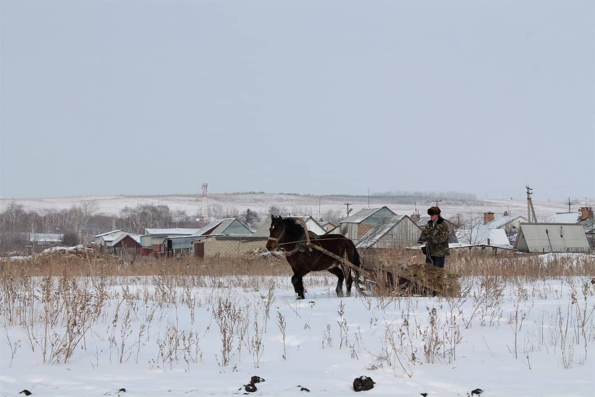 Погода малый макателем нижегородская область. Малый Толкай. Рождество село Самара. Погода малый Толкай. Толкаем погоду.