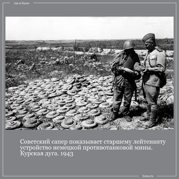 Так и было: выставка подделок, крещение взрослых в СССР и княжны Романовы собирают грибы