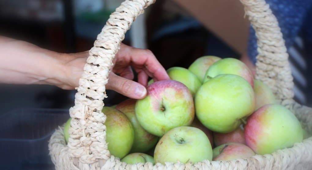 Первому Московскому хоспису передали более 300 килограммов яблок