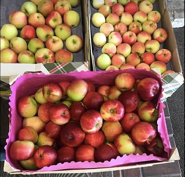 Первому Московскому хоспису передали более 300 килограммов яблок
