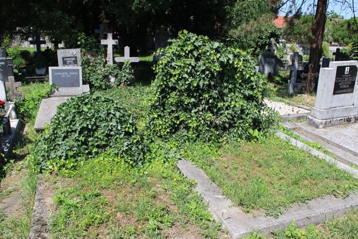 Жители и гимназисты сербского Нови-Сада облагородили русское кладбище