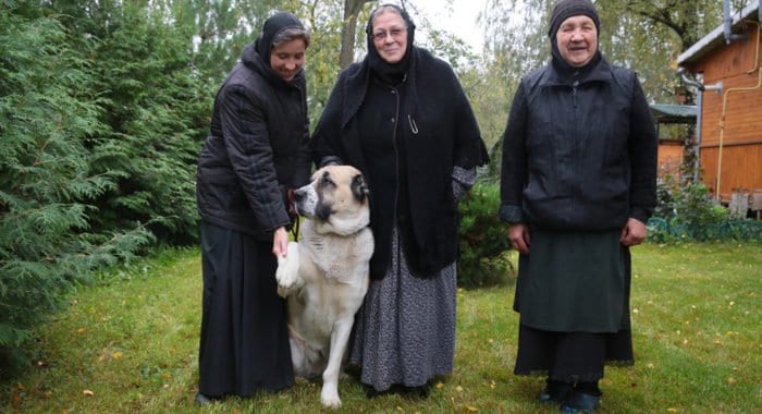 Трое в монастыре, не считая собаки: женский монастырь в Юрьеве-Польском, о котором мало кто знает