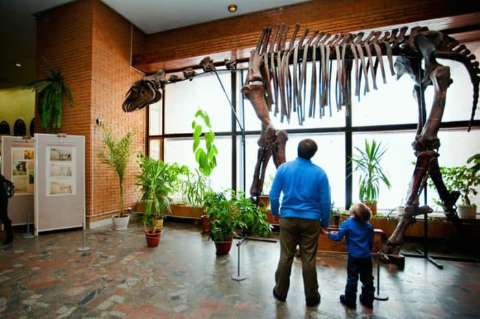 5 московских естественно-научных музеев, куда стоит сходить с детьми