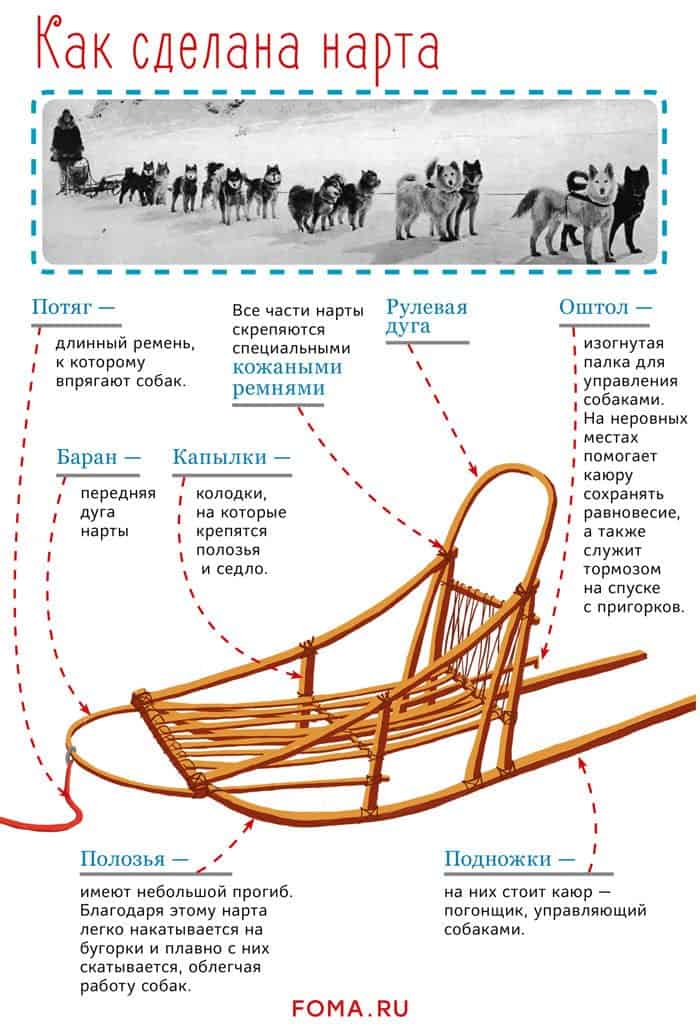 Нарты для апостола: Как Иннокентий Московский всю Сибирь на собаках объездил