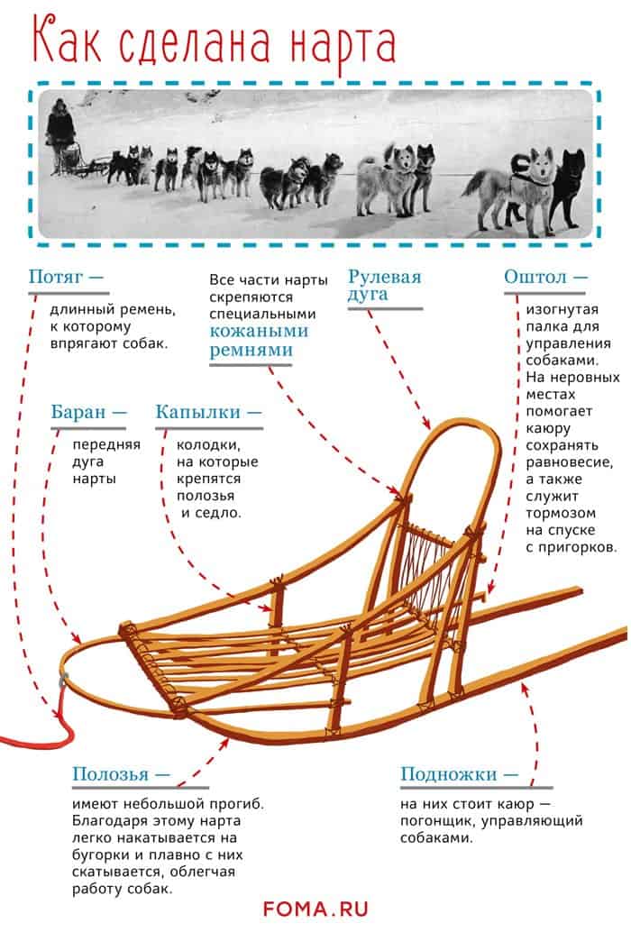 Как выглядят нарты фото