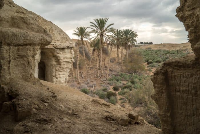 Иудейская пустыня в ожидании Пасхи: 20 потрясающих видов