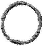 Терновый венец Спасителя. Инфографика