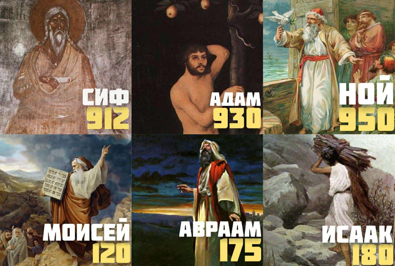 Почему в древние времена люди жили по 700 лет, а сейчас по 70? -  Православный журнал «Фома»