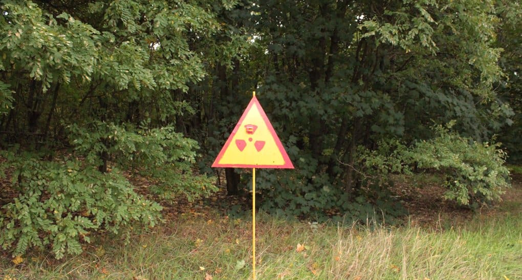 Глава Росприроднадзора рассказала, что Россия может получить «экологический Чернобыль»