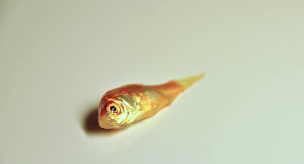 «Нельзя утешать человека тем, что ему полезно пострадать» — священник отвечает на вопросы о боли, печали и смерти