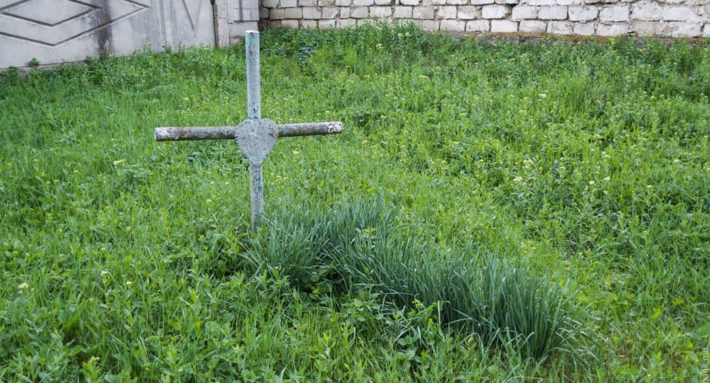 Можно ли раскопать могилу на 30-40 см, чтобы удалить корневища травы?