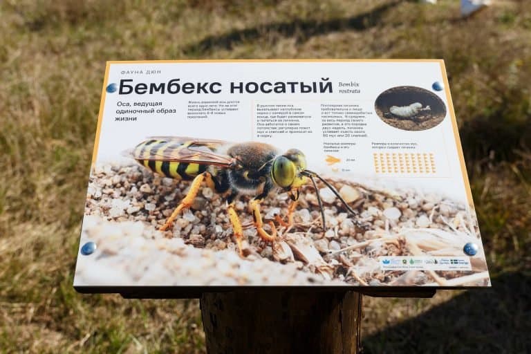 Уникальную эко-тропу создали в Лавришевском монастыре в Беларуси