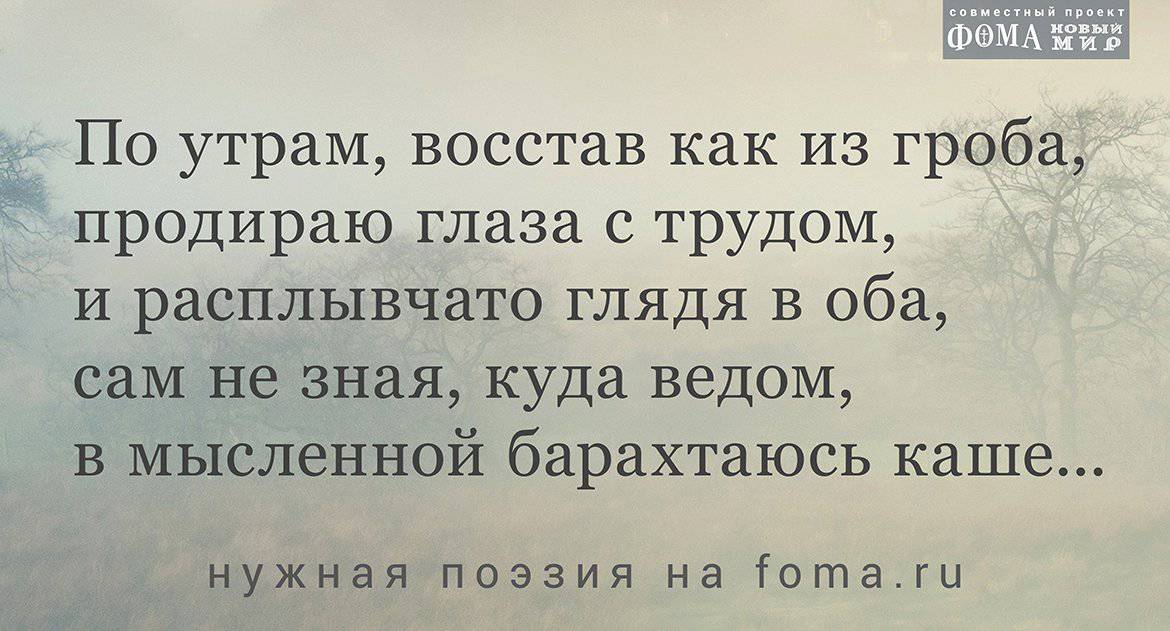 «Мой Тебе утреннюет дух». Поэзия Максима Амелина