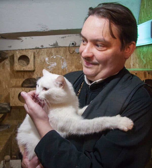В костромских храмах собрали помощь приютам для бездомных и пострадавших животных