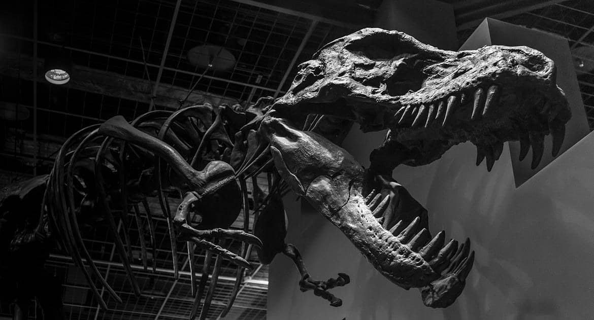 Как понять, что миллионы лет назад жили динозавры, и они вымерли, а человечество живет всего 7000 лет?