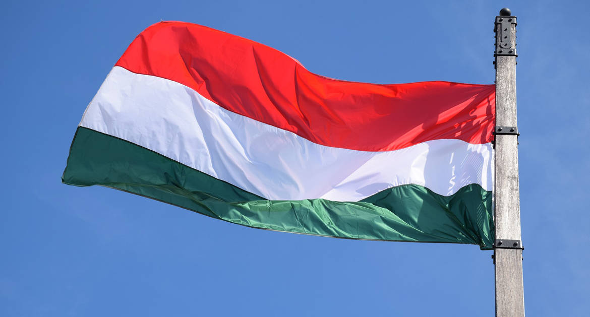 Владимир Легойда отметил позитивное сотрудничество Церкви и властей Венгрии в вопросе защиты традиционной семьи