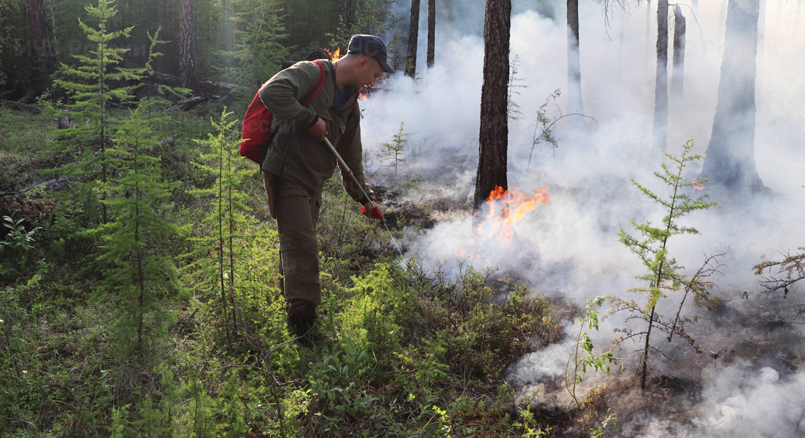 Неравнодушные люди объединились для тушения лесных пожаров в Якутии