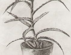Короткие рассказы для детей 9 лет