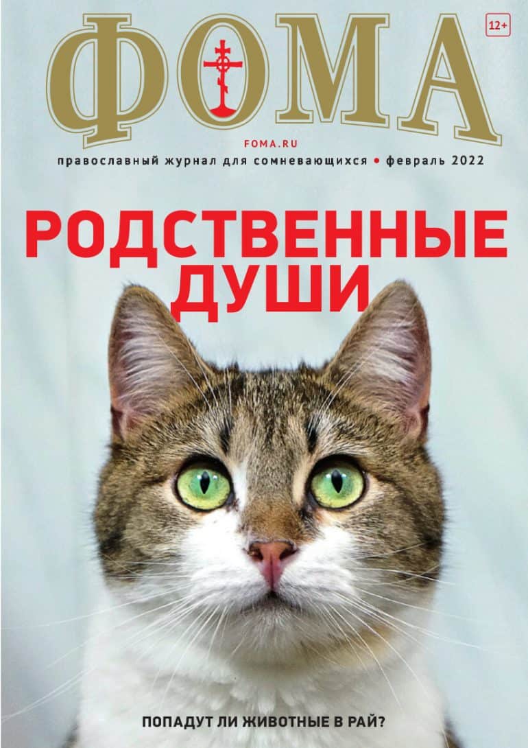 Кот с обложки нового номера «Фомы» ищет дом!