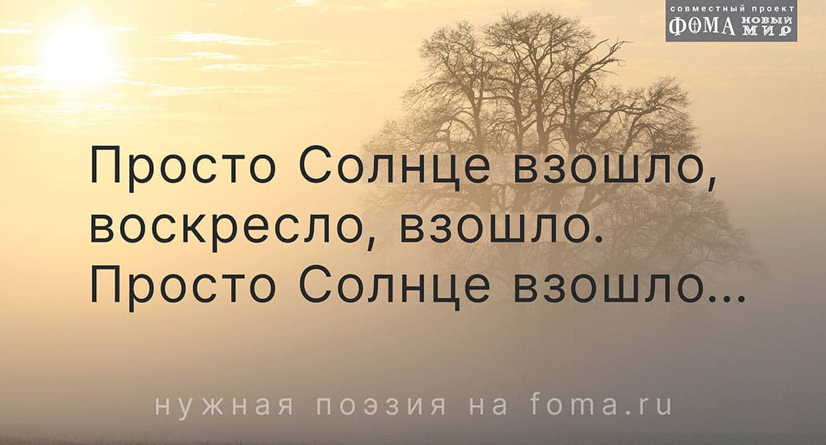 Солнце встаёт.  Поэзия Александра Непомнящего