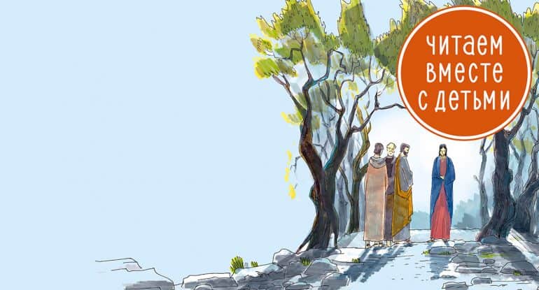 Гефсиманский сад: о чем помнят его деревья