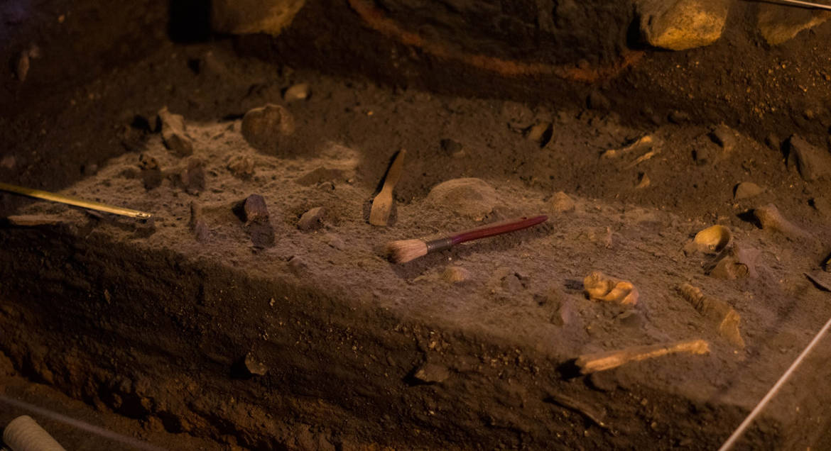 Под бывшим универмагом в Уэльсе обнаружили остатки забытого монастыря XIII века