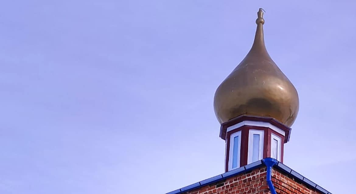 Приходу рязанского храма, в котором служил новомученик, нужна помощь в замене купола
