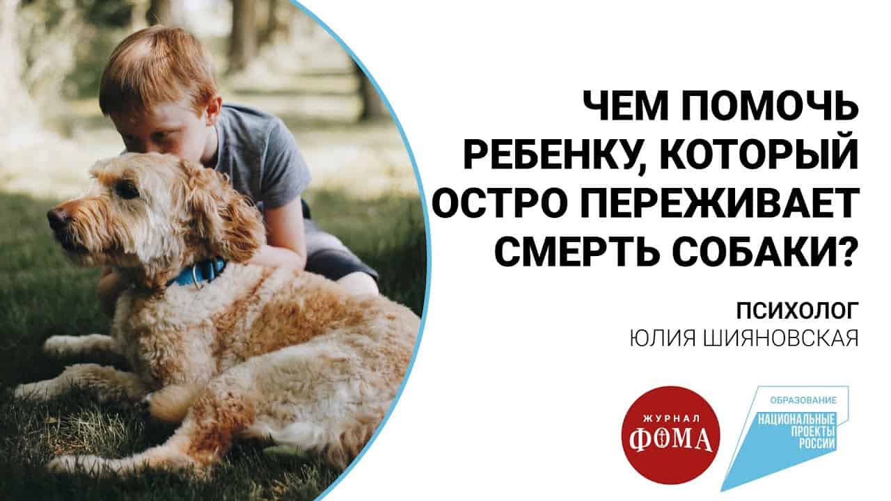 Чем помочь ребенку, который переживает смерть собаки?