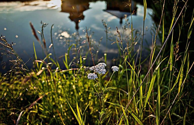 Важные мгновения и тишина. 5 любимых фотографий инокини Ксении (Беловой)