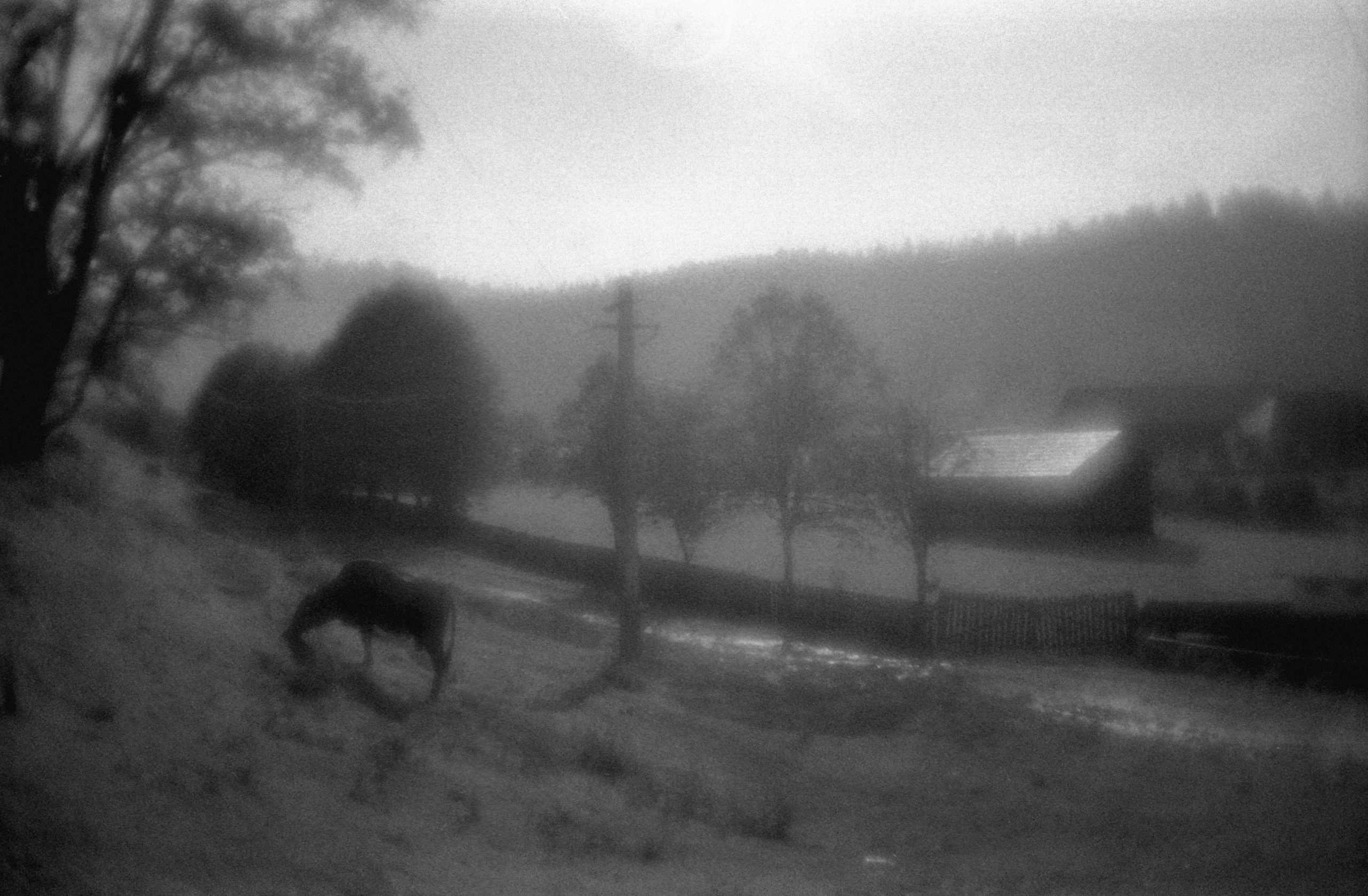 Яркий свет и тень без отвлекающих деталей: 5 любимых фотографий фотографа Мадины Астаховой