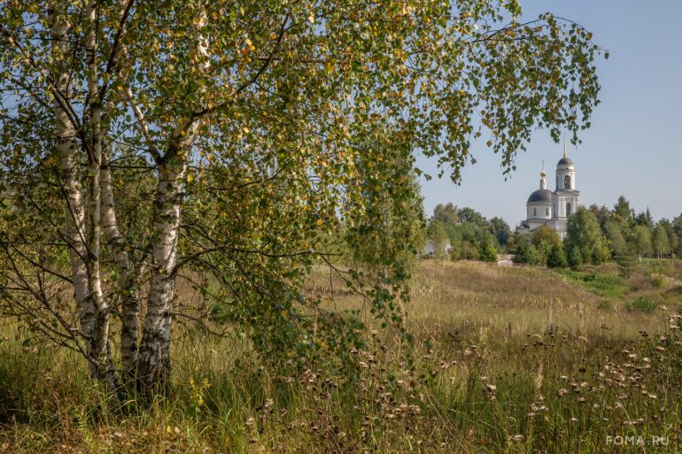 «Поездка в Радонеж всегда в радость», — фотографии фотографа «Фомы» Владимира Ештокина