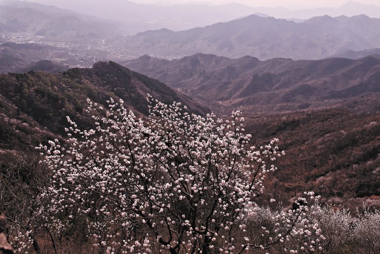 5 фотографий Великого поста