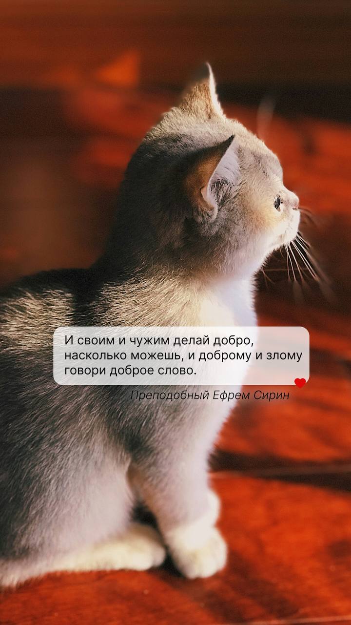 Обои на телефон с вдохновляющими цитатами