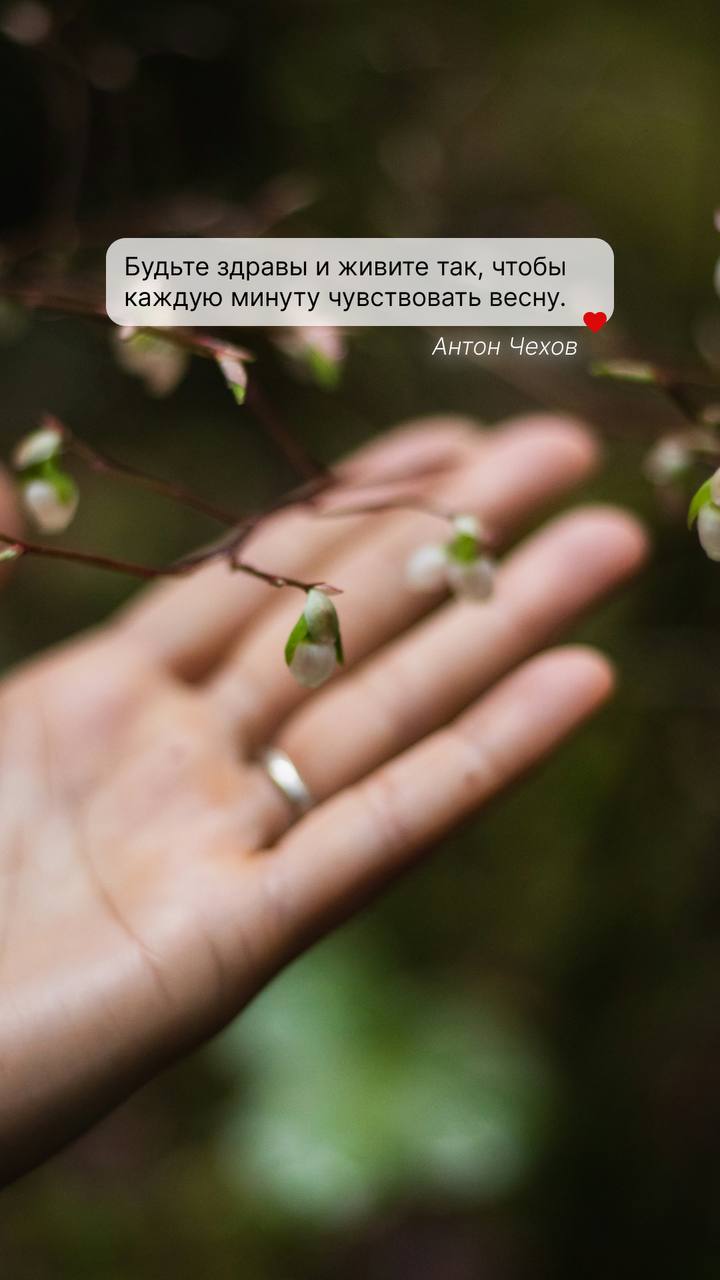 Обои на телефон с вдохновляющими цитатами