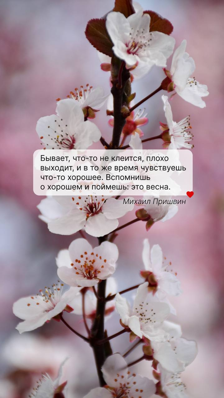 Обои на телефон с вдохновляющими цитатами