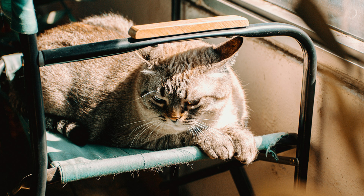 Как быть, если лень мешает учебе?