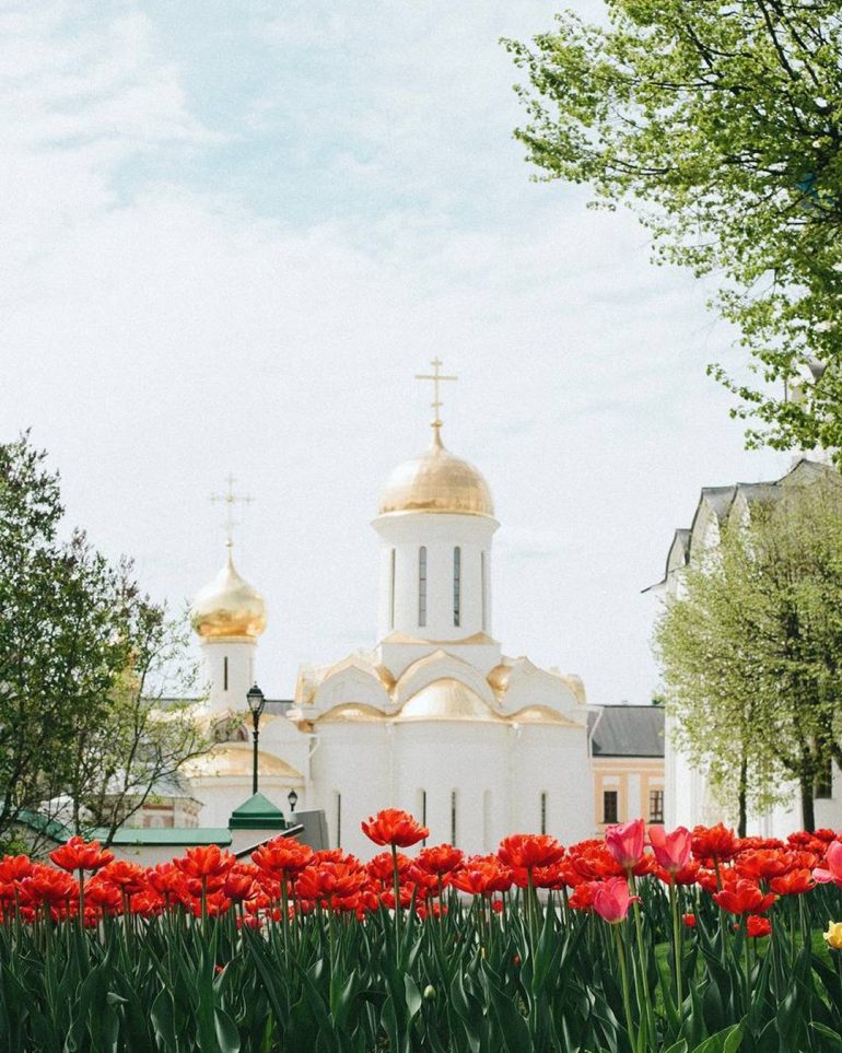 Тайна мощей преподобного Сергия