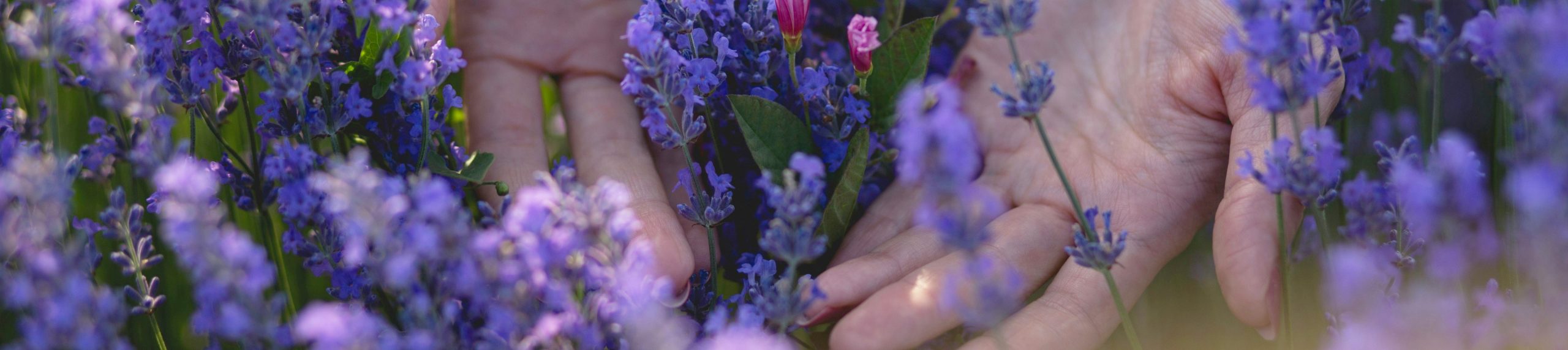 Психология и отношения