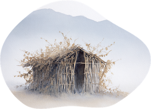 Что за кущи предлагал построить Петр на горе Фавор и зачем?