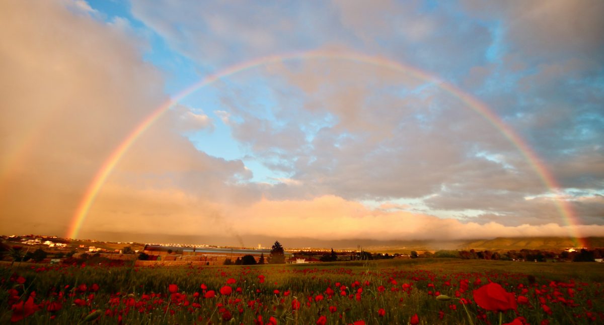 Чему тут радоваться? Почему Библия призывает быть радостными и как этого достичь
