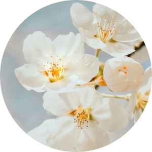 О чем писал святитель Иоанн Златоуст диаконисе Олимпиаде: тот случай, когда стоит прочитать чужие письма