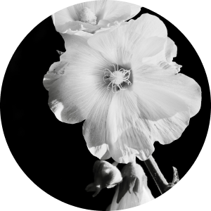 5 поучений Макария Оптинского